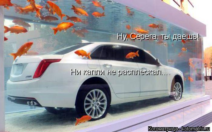 Ну, Серега, ты даешь! Ни капли не расплескал...... Котоматрица: Ну, Серега, ты даешь! Ни капли не расплескал...