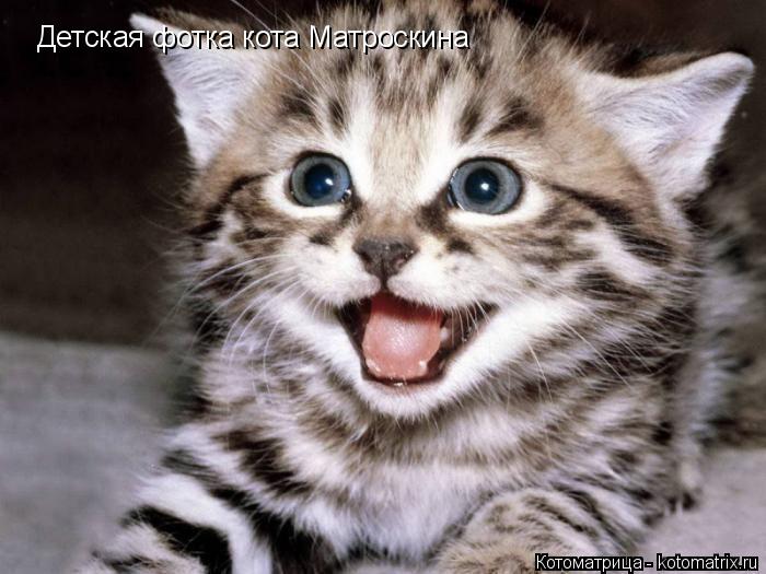 Детская фотка кота Матроскина... Котоматрица: Детская фотка кота Матроскина