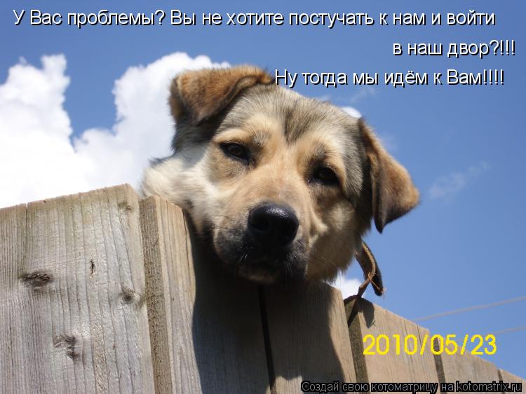 У Вас проблемы? Вы не хотите постучать к нам и войти в наш двор?!!! Ну тогда мы идём к Вам!!!!... Котоматрица: У Вас проблемы? Вы не хотите постучать к нам и войти в наш двор?!!! Ну тогда мы идём к Вам!!!!