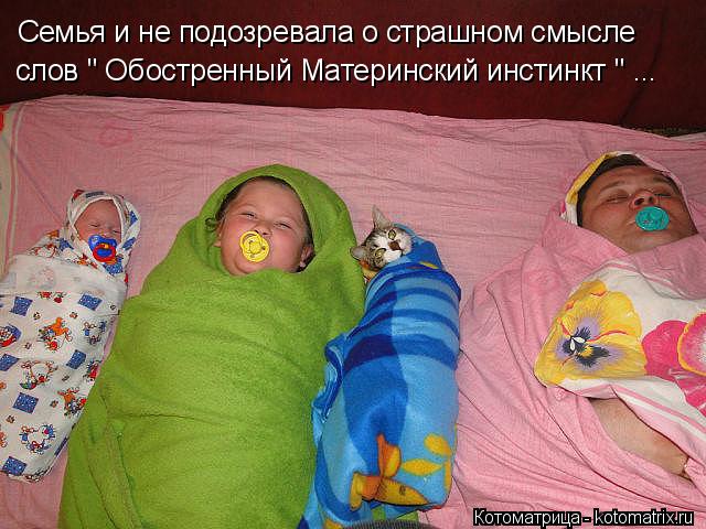 Семья и не подозревала о страшном смысле слов " Обостренный Материнский инстинкт " ...... Котоматрица: Семья и не подозревала о страшном смысле слов " Обостренный Материнский инстинкт " ...