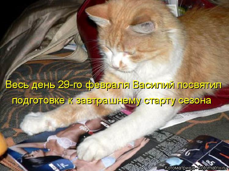 Весь день 29-го февраля Василий посвятил подготовке к завтрашнему старту сезона... Котоматрица: Весь день 29-го февраля Василий посвятил подготовке к завтрашнему старту сезона