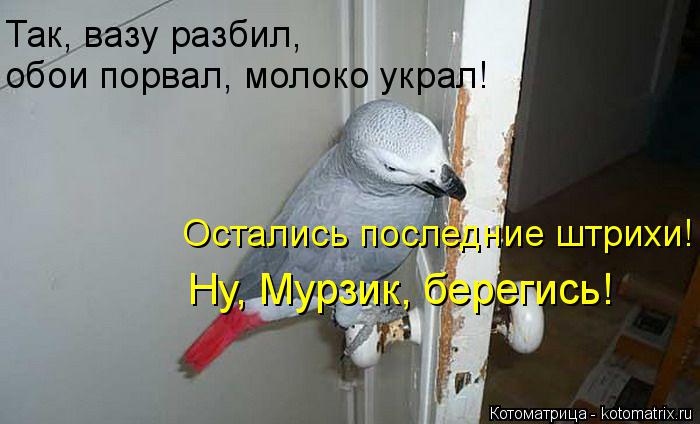 Так, вазу разбил, обои порвал, молоко украл! Остались последние штрихи! Ну, Мурзик, берегись!... Котоматрица: Так, вазу разбил, обои порвал, молоко украл! Остались последние штрихи! Ну, Мурзик, берегись!