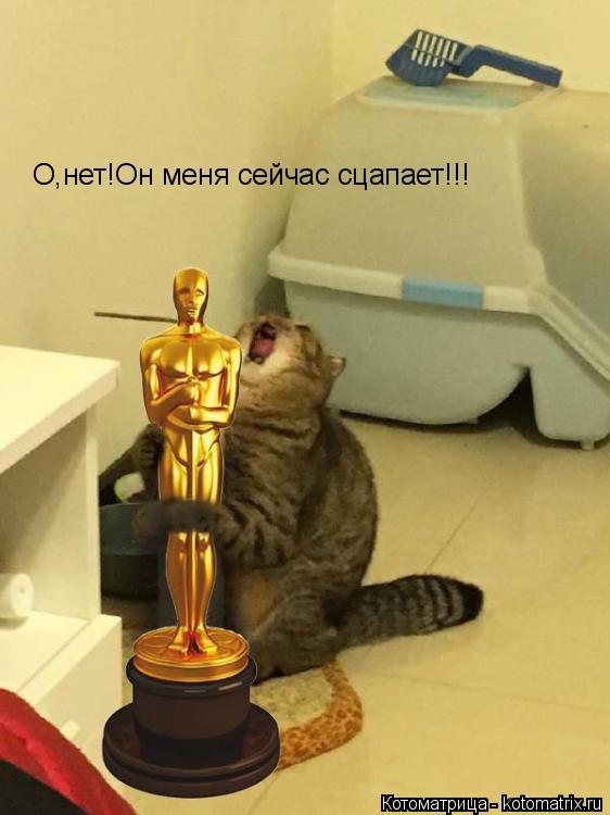 О,нет!Он меня сейчас сцапает!!!... Котоматрица: О,нет!Он меня сейчас сцапает!!!