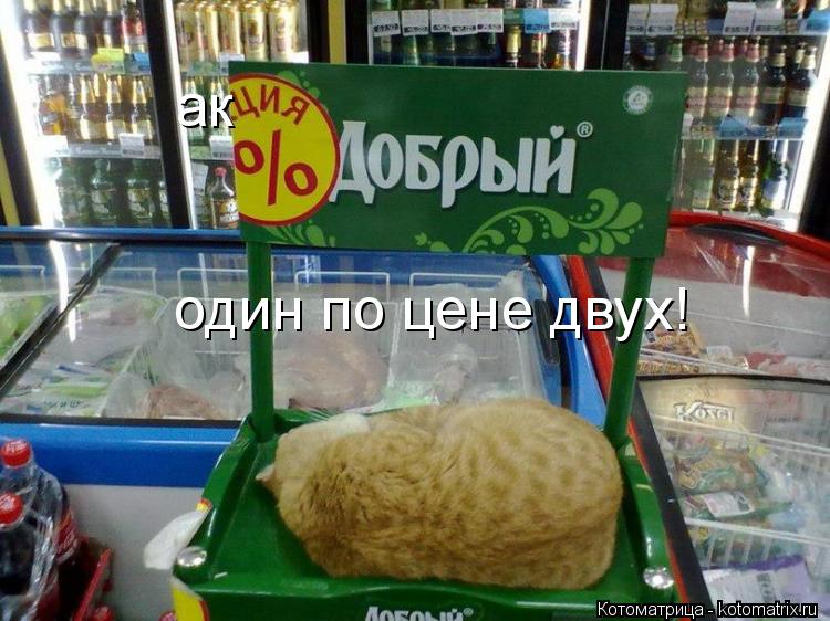 ак один по цене двух!... Котоматрица: ак один по цене двух!