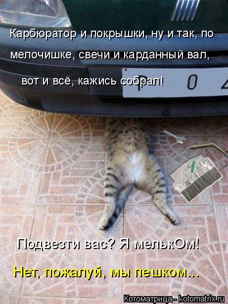 Карбюратор и покрышки, ну и так, по мелочишке, свечи и карданный вал, вот и всё, кажись собрал! Подве... Котоматрица: Карбюратор и покрышки, ну и так, по мелочишке, свечи и карданный вал, вот и всё, кажись собрал! Подвезти вас? Я мелькОм! Нет, пожалуй, мы пешком.