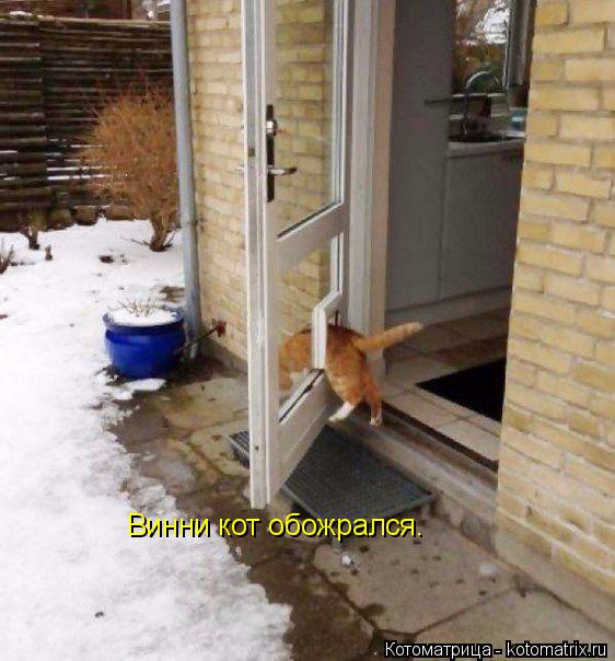 Винни кот обожрался.... Котоматрица: Винни кот обожрался.