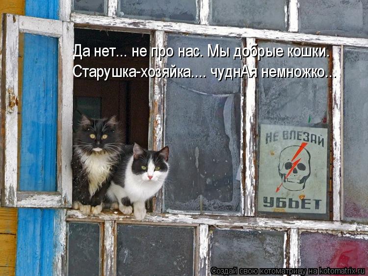Да нет... не про нас. Мы добрые кошки. Старушка-хозяйка.... чуднАя немножко...... Котоматрица: Да нет... не про нас. Мы добрые кошки. Старушка-хозяйка.... чуднАя немножко...