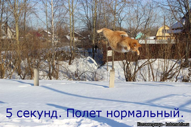 5 секунд. Полет нормальный.... Котоматрица: 5 секунд. Полет нормальный.