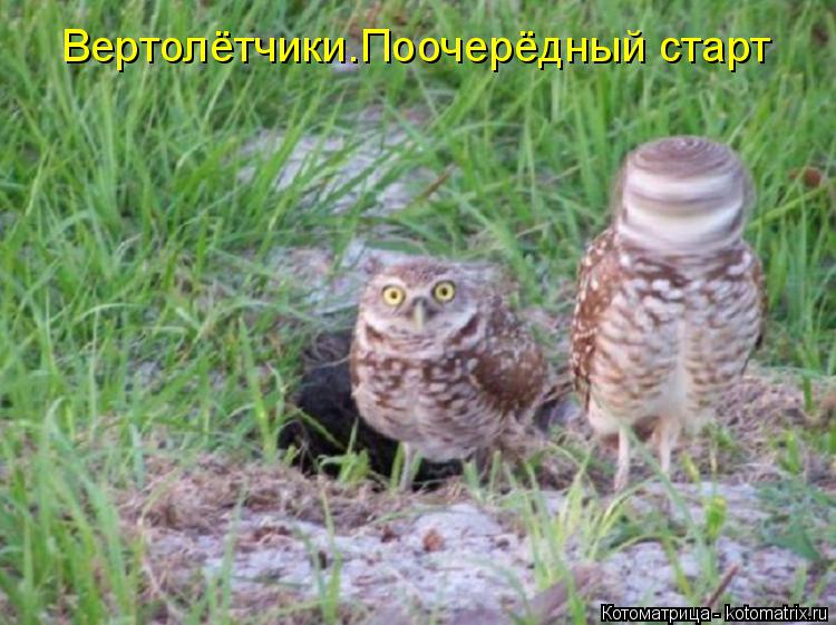 Вертолётчики.Поочерёдный старт... Котоматрица: Вертолётчики.Поочерёдный старт