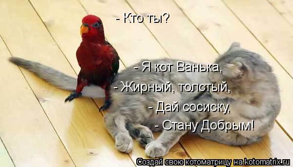 - Кто ты? - Я кот Ванька, - Жирный, толстый, - Дай сосиску, - Стану Добрым!... Котоматрица: - Кто ты? - Я кот Ванька, - Жирный, толстый, - Дай сосиску, - Стану Добрым!