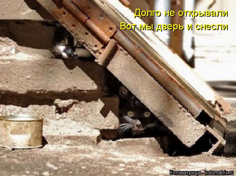 Долго не открывали Вот мы дверь и снесли... Котоматрица: Долго не открывали Вот мы дверь и снесли
