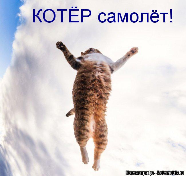 КОТЁР самолёт!... Котоматрица: КОТЁР самолёт!