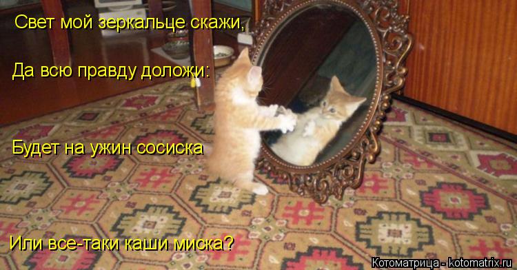 Свет мой зеркальце скажи, Да всю правду доложи: Будет на ужин сосиска Или все-таки каши миска?... Котоматрица: Свет мой зеркальце скажи, Да всю правду доложи: Будет на ужин сосиска Или все-таки каши миска?