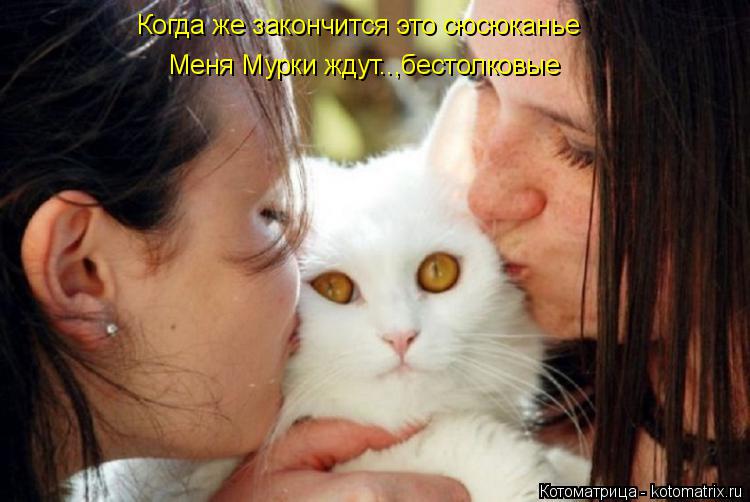 Меня Мурки ждут..,бестолковые Когда же закончится это сюсюканье... Котоматрица: Меня Мурки ждут..,бестолковые Когда же закончится это сюсюканье