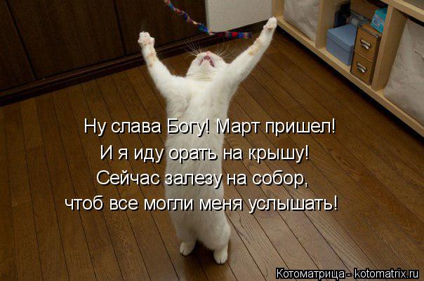 Ну слава Богу! Март пришел! И я иду орать на крышу! Сейчас залезу на собор, чтоб все могли меня услыш... Котоматрица: Ну слава Богу! Март пришел! И я иду орать на крышу! Сейчас залезу на собор, чтоб все могли меня услышать!