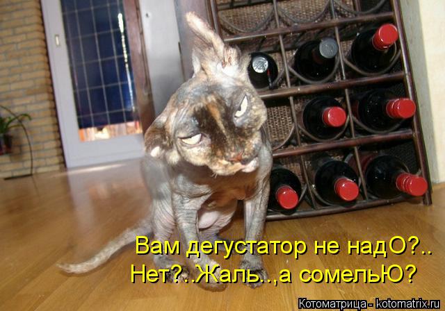 Вам дегустатор не надО?.. Нет?..Жаль..,а сомельЮ?... Котоматрица: Вам дегустатор не надО?.. Нет?..Жаль..,а сомельЮ?
