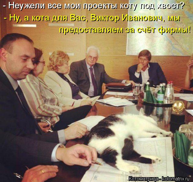 - Неужели все мои проекты коту под хвост? - Ну, а кота для Вас, Виктор Иванович, мы предоставляем за ... Котоматрица: - Неужели все мои проекты коту под хвост? - Ну, а кота для Вас, Виктор Иванович, мы предоставляем за счёт фирмы!