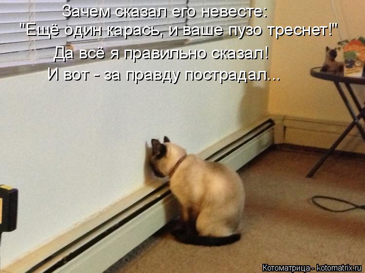 Зачем сказал его невесте: "Ещё один карась, и ваше пузо треснет!" Да всё я правильно сказал! И вот - ... Котоматрица: Зачем сказал его невесте: "Ещё один карась, и ваше пузо треснет!" Да всё я правильно сказал! И вот - за правду пострадал...