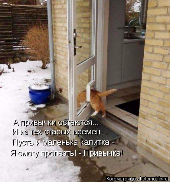 А привычки остаются... И из тех старых времен... Пусть и маленька калитка - Я смогу пролезть! - Прив... Котоматрица: А привычки остаются... И из тех старых времен... Пусть и маленька калитка - Я смогу пролезть! - Привычка!