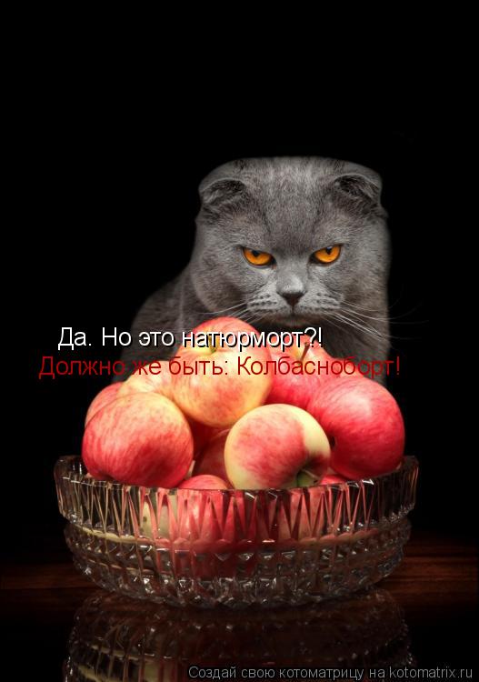 Да. Но это натюрморт?! Должно же быть: Колбасноборт!... Котоматрица: Да. Но это натюрморт?! Должно же быть: Колбасноборт!