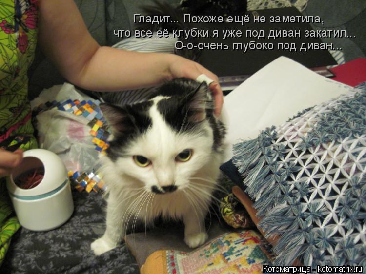 Гладит... Похоже ещё не заметила, что все её клубки я уже под диван закатил... О-о-очень глубоко под ... Котоматрица: Гладит... Похоже ещё не заметила, что все её клубки я уже под диван закатил... О-о-очень глубоко под диван...
