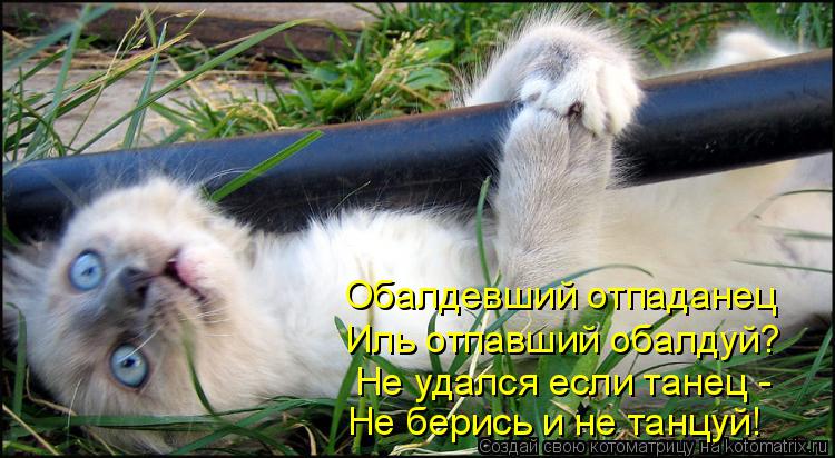 Обалдевший отпаданец Иль отпавший обалдуй? Не удался если танец - Не берись и не танцуй!... Котоматрица: Обалдевший отпаданец Иль отпавший обалдуй? Не удался если танец - Не берись и не танцуй!