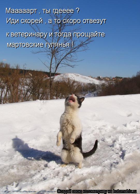 Мааааарт , ты гдееее ? Иди скорей , а то скоро отвезут к ветеринару и тогда прощайте мартовские гуля... Котоматрица: Мааааарт , ты гдееее ? Иди скорей , а то скоро отвезут к ветеринару и тогда прощайте мартовские гулянья !