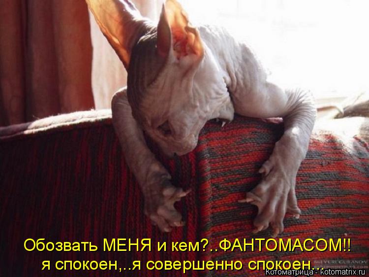 Обозвать МЕНЯ и кем?..ФАНТОМАСОМ!! я спокоен,..я совершенно спокоен...... Котоматрица: Обозвать МЕНЯ и кем?..ФАНТОМАСОМ!! я спокоен,..я совершенно спокоен...