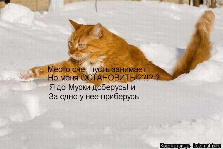Место снег пусть занимает, Но меня ОСТАНОВИТЬ!??!?!? Я до Мурки доберусь! и За одно у нее приберусь... Котоматрица: Место снег пусть занимает, Но меня ОСТАНОВИТЬ!??!?!? Я до Мурки доберусь! и За одно у нее приберусь!