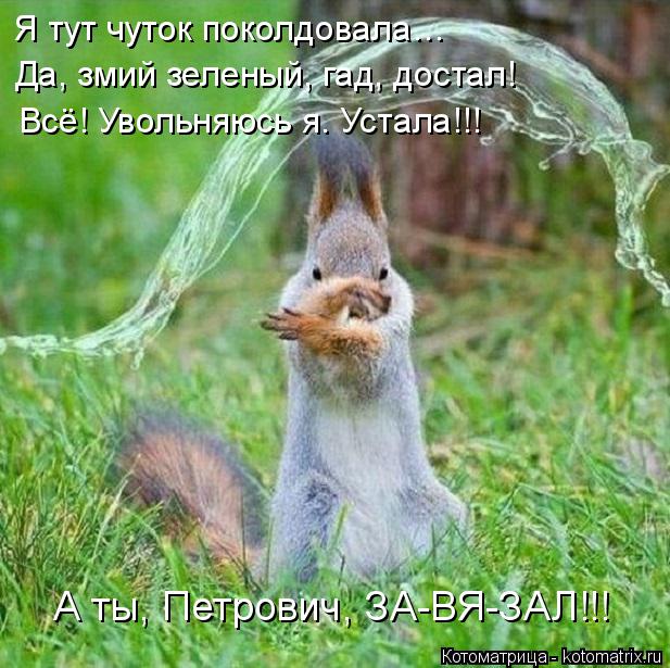 Я тут чуток поколдовала… Да, змий зеленый, гад, достал! Всё! Увольняюсь я. Устала!!! А ты, Петрович, ... Котоматрица: Я тут чуток поколдовала… Да, змий зеленый, гад, достал! Всё! Увольняюсь я. Устала!!! А ты, Петрович, ЗА-ВЯ-ЗАЛ!!!