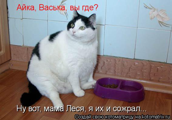 Айка, Васька, вы где? Ну вот, мама Леся, я их и сожрал...... Котоматрица: Айка, Васька, вы где? Ну вот, мама Леся, я их и сожрал...