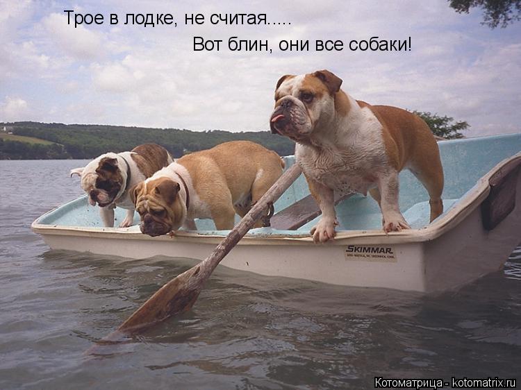 Трое в лодке, не считая..... Вот блин, они все собаки!... Котоматрица: Трое в лодке, не считая..... Вот блин, они все собаки!