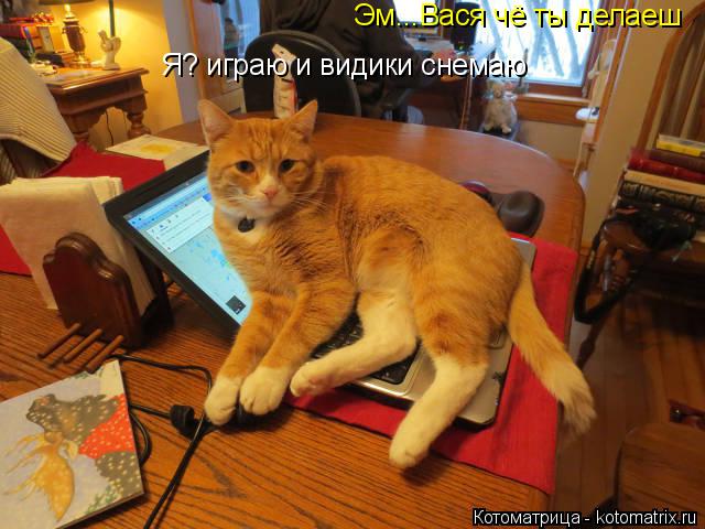 Эм...Вася чё ты делаеш Я? играю и видики снемаю... Котоматрица: Эм...Вася чё ты делаеш Я? играю и видики снемаю