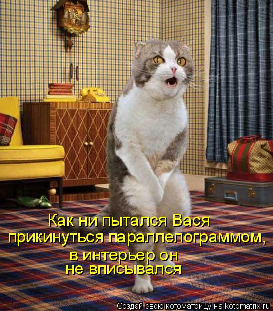 Как ни пытался Вася прикинуться параллелограммом, в интерьер он не вписывался... Котоматрица: Как ни пытался Вася прикинуться параллелограммом, в интерьер он не вписывался