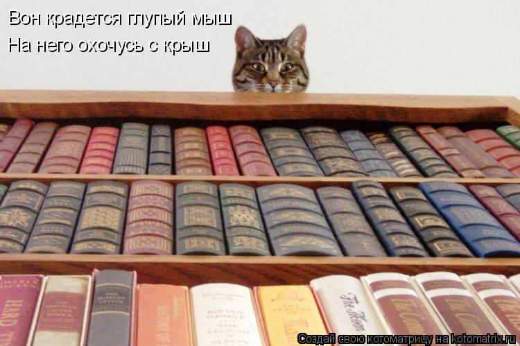 Котоматрица: Вон крадется глупый мыш На него охочусь с крыш