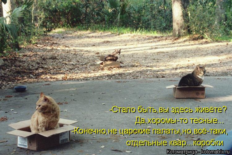 -Стало быть,вы здесь живёте? Да,хоромы-то тесные... -Конечно,не царские палаты,но,всё-таки, -Конечно,... Котоматрица: -Стало быть,вы здесь живёте? Да,хоромы-то тесные... -Конечно,не царские палаты,но,всё-таки, -Конечно,не царские палаты,но,всё-таки, отдельные кв