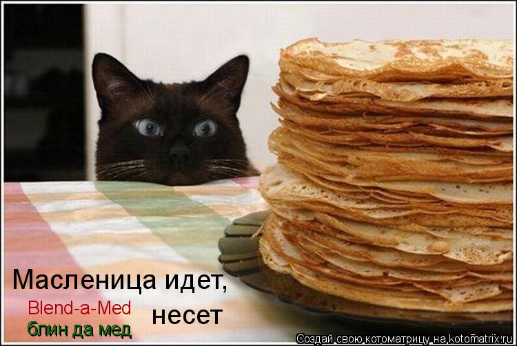Котоматрица: Масленица идет, несет Blend-a-Med блин да мед