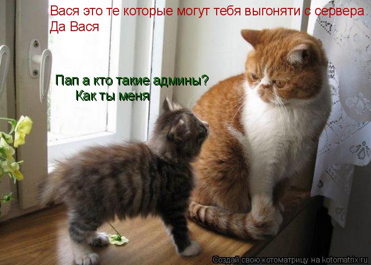 Пап а кто такие админы? Вася это те которые могут тебя выгоняти с сервера Как ты меня Да Вася... Котоматрица: Пап а кто такие админы? Вася это те которые могут тебя выгоняти с сервера Как ты меня Да Вася