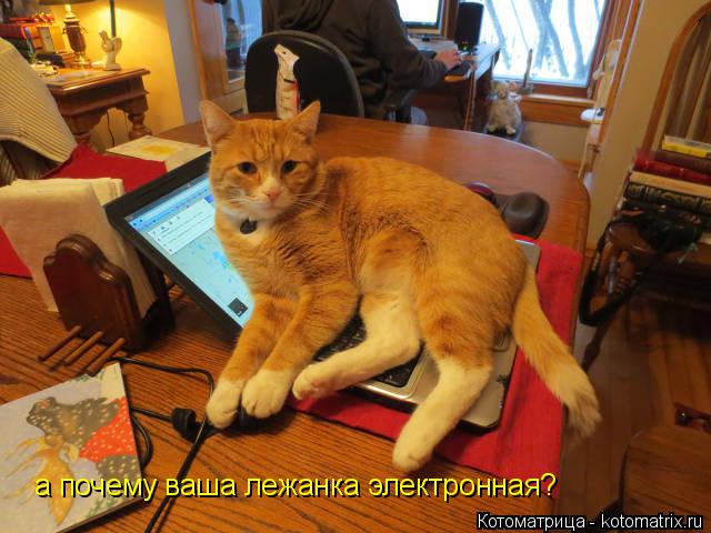 а почему ваша лежанка электронная?... Котоматрица: а почему ваша лежанка электронная?