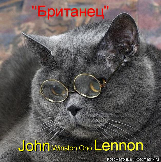 Котоматрица: "Британец" John Lennon Winston Ono