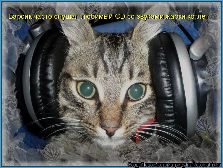 Барсик часто слушал любимый CD со звуками жарки котлет.... Котоматрица: Барсик часто слушал любимый CD со звуками жарки котлет.