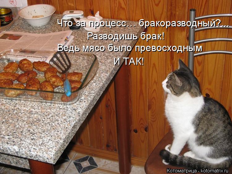 Разводишь брак! Что за процесс… бракоразводный?... Ведь мясо было превосходным И ТАК!... Котоматрица: Разводишь брак! Что за процесс… бракоразводный?... Ведь мясо было превосходным И ТАК!