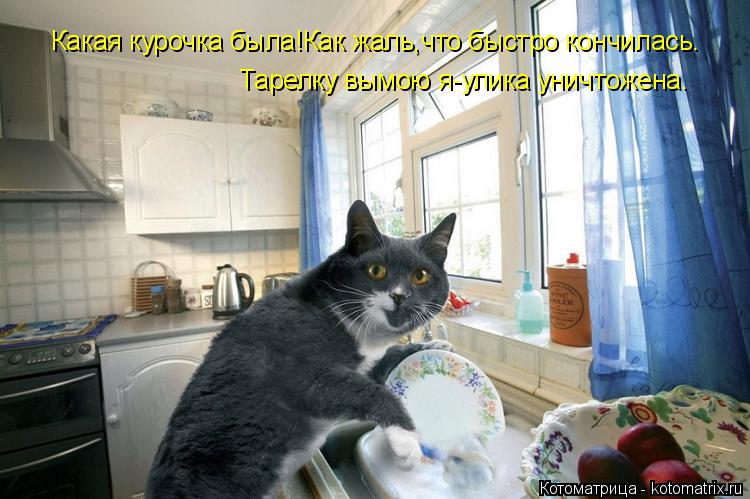 Какая курочка была!Как жаль,что быстро кончилась. Тарелку вымою я-улика уничтожена.... Котоматрица: Какая курочка была!Как жаль,что быстро кончилась. Тарелку вымою я-улика уничтожена.