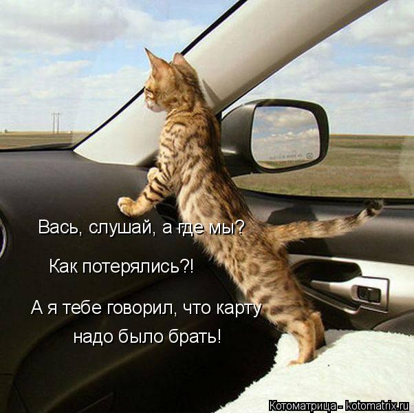 Котоматрица: Вась, слушай, а где мы? А я тебе говорил, что карту надо было брать! Как потерялись?!