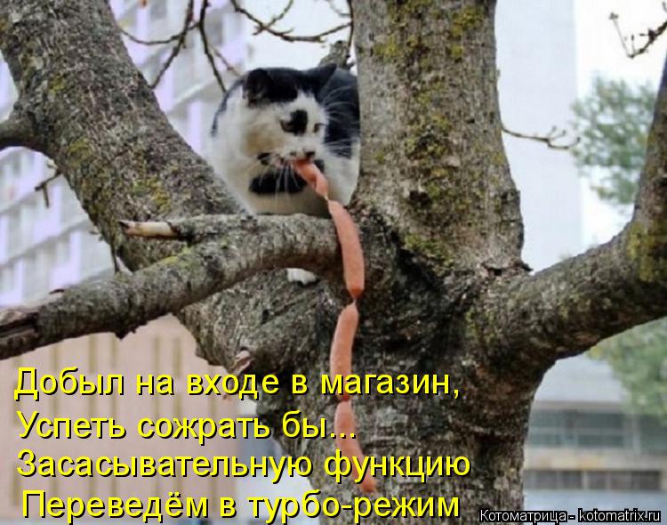 Котоматрица: Добыл на входе в магазин, Успеть сожрать бы... Засасывательную функцию Переведём в турбо-режим