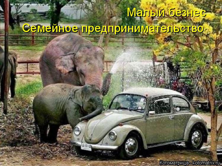 Котоматрица: Малый безнес Семейное предпринимательство