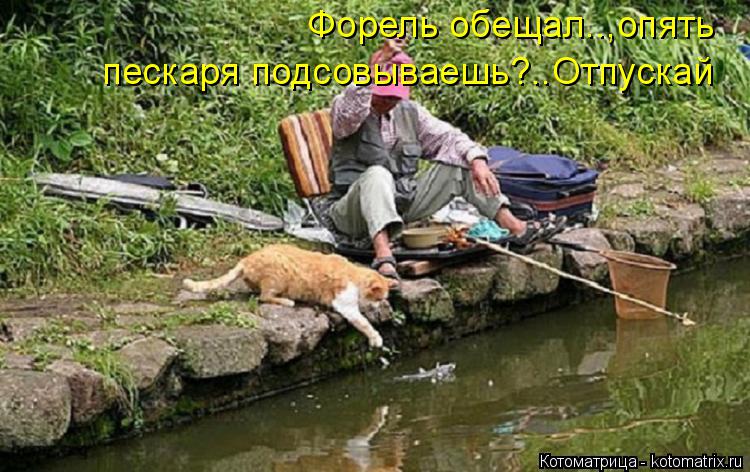Котоматрица: пескаря подсовываешь?..Отпускай Форель обещал..,опять
