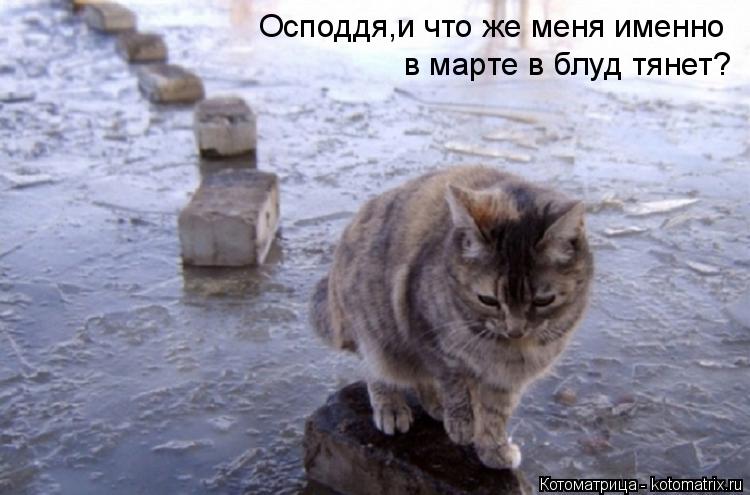 Осподдя,и что же меня именно в марте в блуд тянет?... Котоматрица: Осподдя,и что же меня именно в марте в блуд тянет?