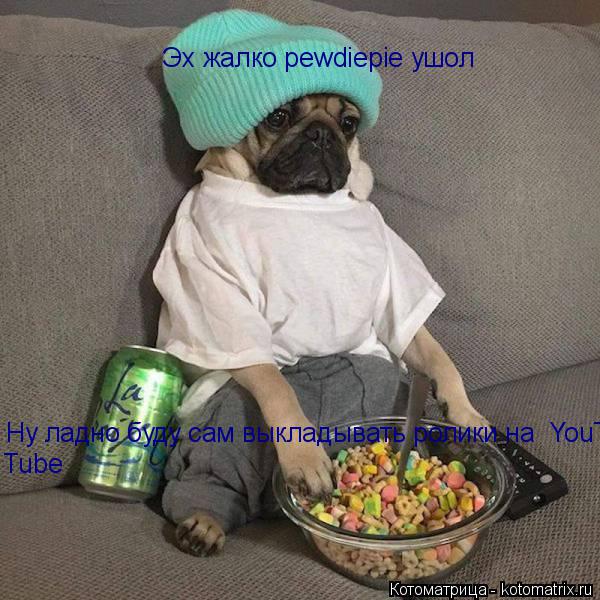 Котоматрица: Эх жалко pewdiepie ушол Ну ладно буду сам выкладывать ролики на  YouTube Tube