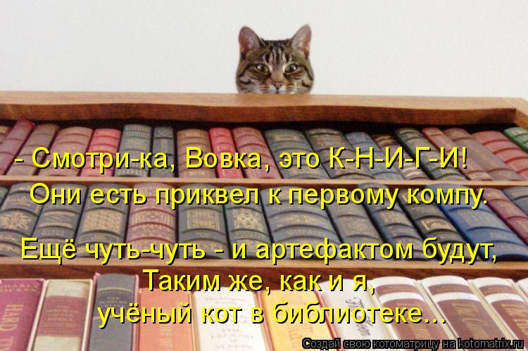 Котоматрица: - Смотри-ка, Вовка, это К-Н-И-Г-И! Они есть приквел к первому компу. Ещё чуть-чуть - и артефактом будут, Таким же, как и я, учёный кот в библиотеке.